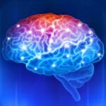 Research Verified® Brain Booster Review