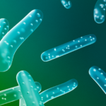 Your Gut Is Talking – 5 Signs You Need A Probiotic