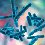 In-Depth Review Of Research Verified Probiotic With Prebiotic