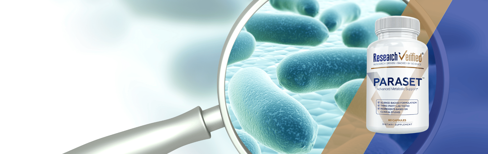 Banner image desktop