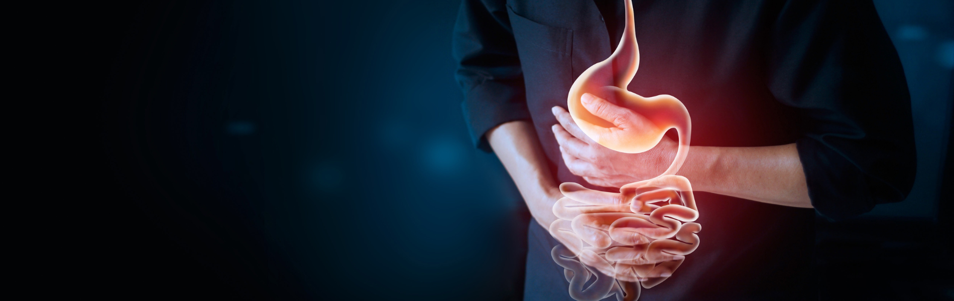 Banner image desktop